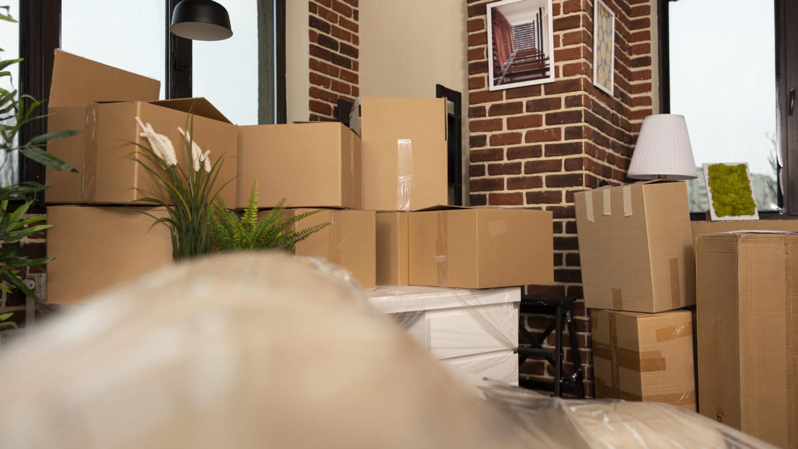 Salon vide avec cartons de déménagement, illustrant le changement de locataire entre une location meublée et une location vide