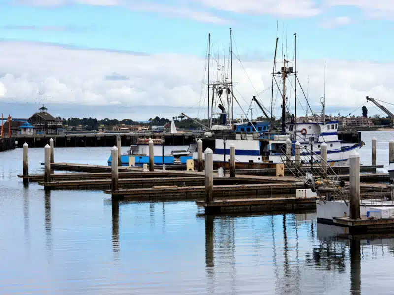 Bateaux de pêche dans un port, photo d'illustration